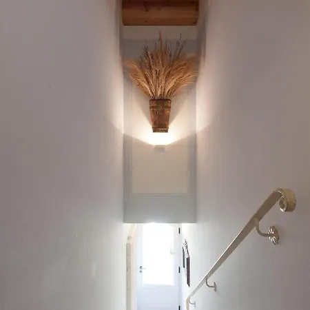 Guest house Talamo Rooms 4*